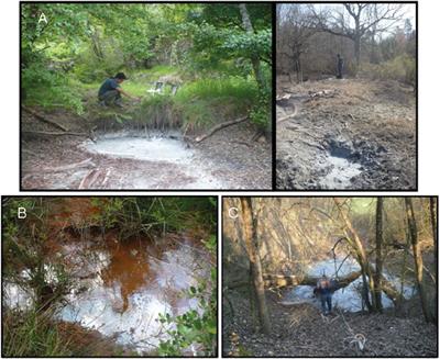 A novel infrastructure for the continuous monitoring of soil CO2 emissions: a case study at the alto Tiberina near fault observatory in Italy